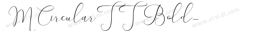 3MCircularTT Bold字体转换